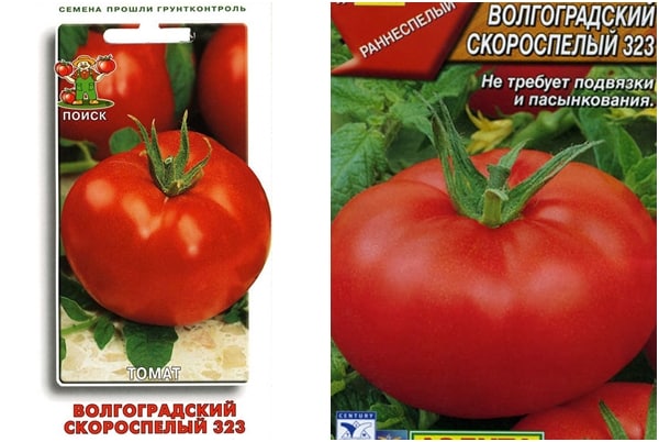 pomidorų sėklos Volgogradas ankstyvas nokinimas 323