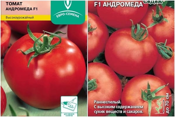 pomidorų sėklos Andromeda F1