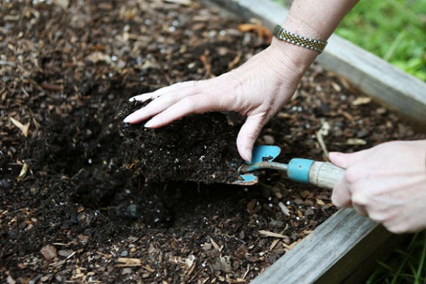 shovel with soil