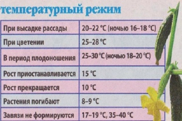 температура земље
