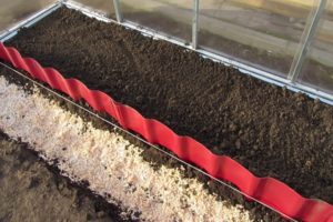 Hoe de grond in de lente voor het planten op kaskomkommers wordt voorbereid