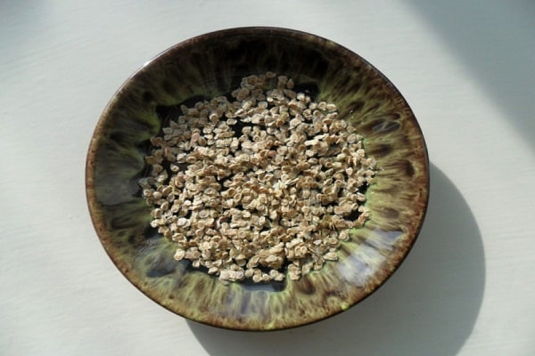 semená na tanieri