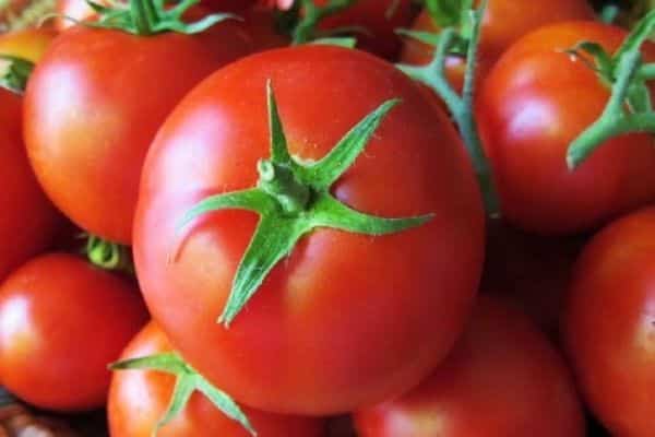 süßer Geschmack von Tomaten