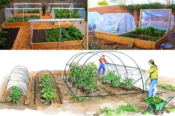 arched greenhouse