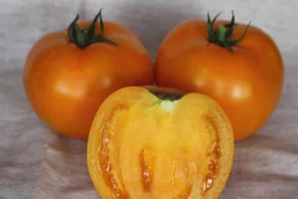 sarı domates