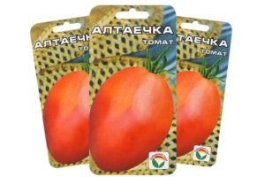 Opis odmiany pomidora Altayechka i jej właściwości
