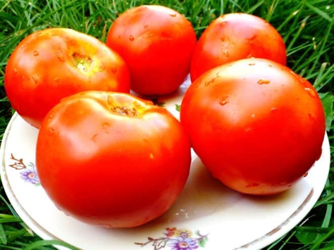 pomidoras Baltasis pilamas ant lėkštės
