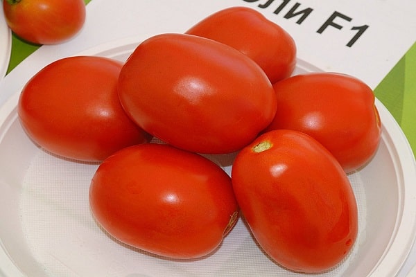 Chili-Tomaten