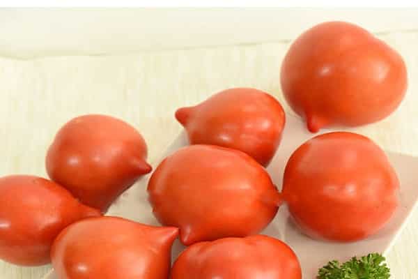 Caractéristiques et description de la variété de tomate Donskoy f1