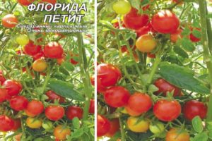 Description de la variété de tomates Florida petite et de ses caractéristiques