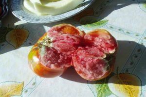 Descripción de la variedad de tomate Calibre principal f1 y sus características