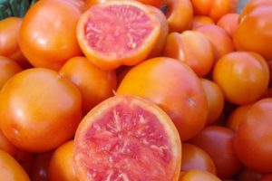Característiques i descripció de la varietat de pomelo de tomàquet