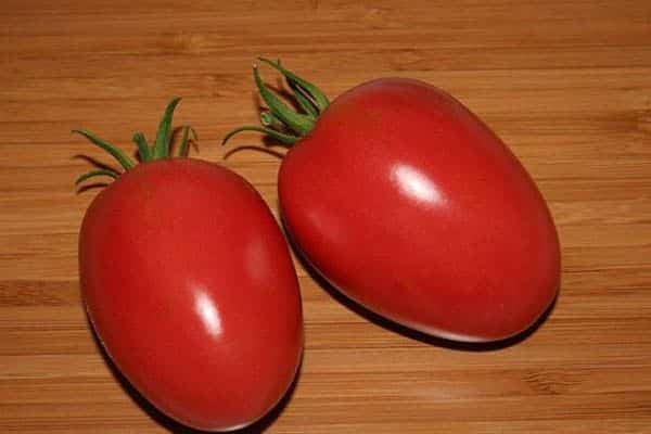 Röda tomater