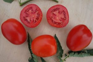 Description of the Indio tomato variety and its characteristics