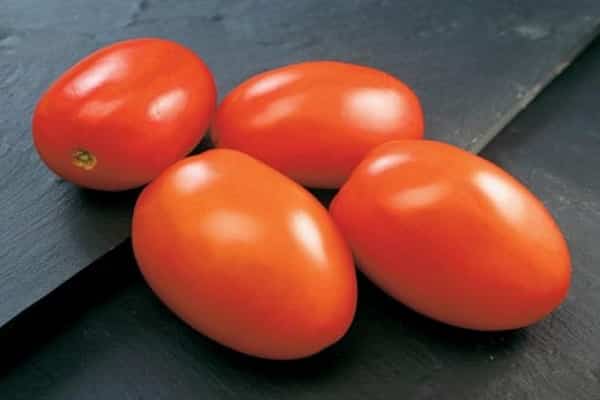 tomate indio