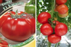 Pomidorų veislės „Kasatik“ aprašymas ir auginimo ypatybės