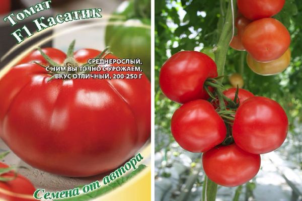 Hybrides de tomates