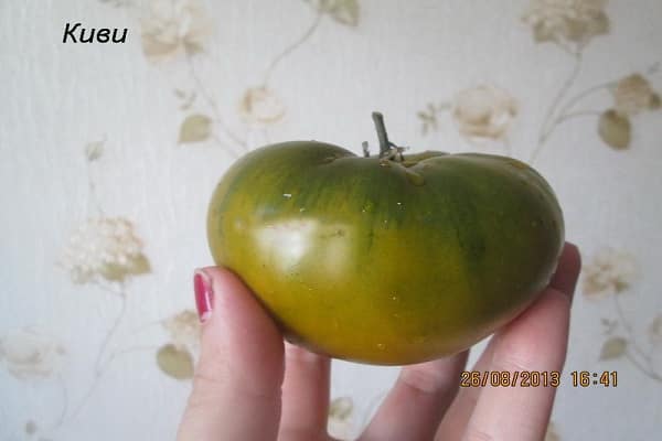 grønt æble