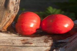 Popis odrůdy rajčat Hezký masitý a jeho vlastnosti
