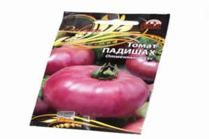 Description of the variety of tomato Padishah and its characteristics