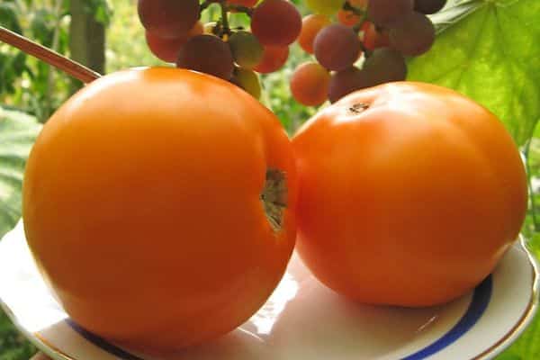 Dzeltenie tomāti