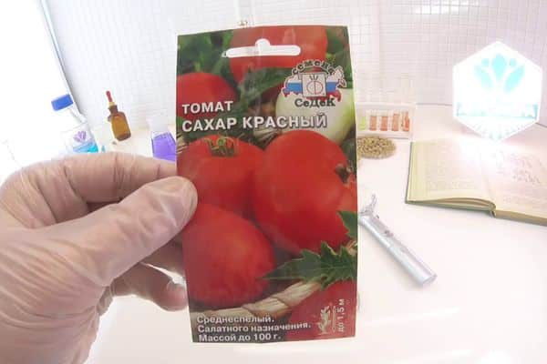 Hạt cà chua