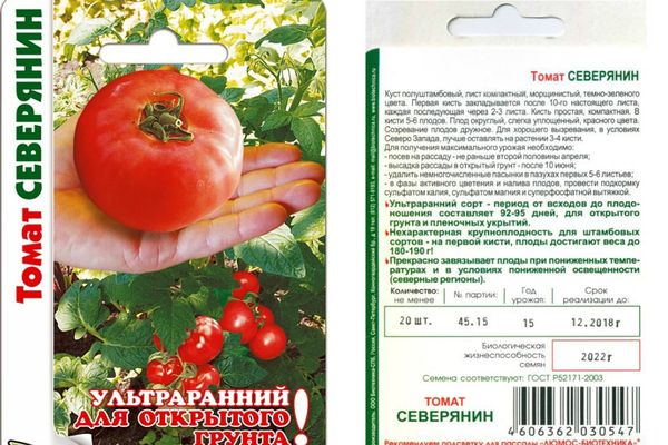 Senena tomaat