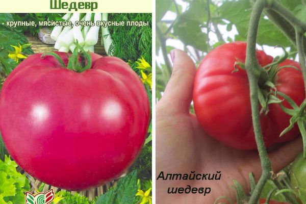 Obra maestra de tomates