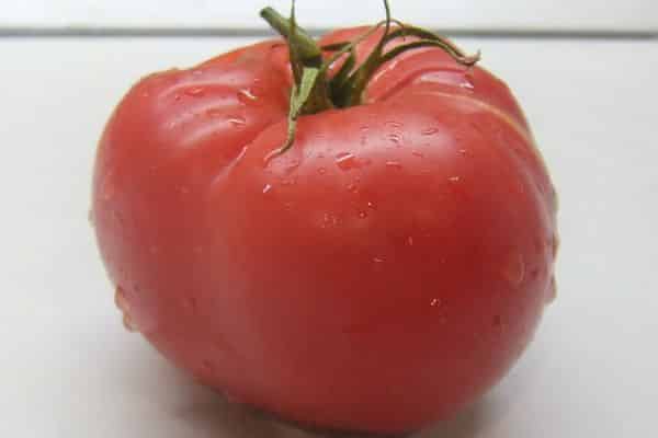 Siberian tomato