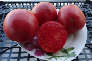 Beskrivelse af sorten Siberian apple, tomatens karakteristika og produktivitet