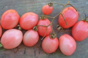 Tais tomātu šķirnes un tās īpašību apraksts