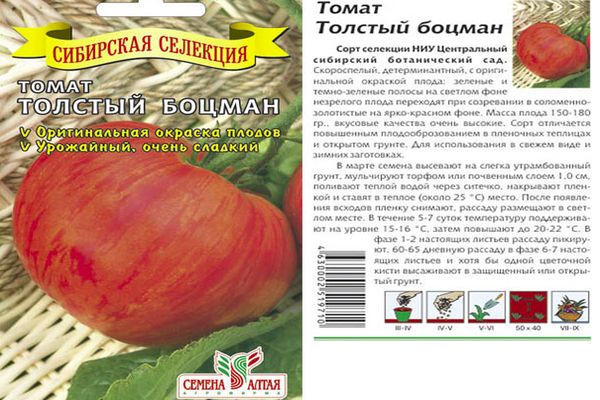 Pomidorų sėklos