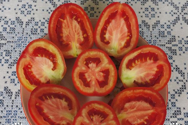 Hienonnettu tomaatit