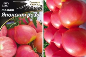 Descrizione della varietà di pomodoro rosa giapponese e delle sue caratteristiche