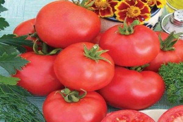 tomaat beoordelingen