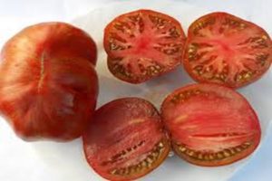 Eigenschaften und Beschreibung der Tomatensorte Berkeley Tai Dai