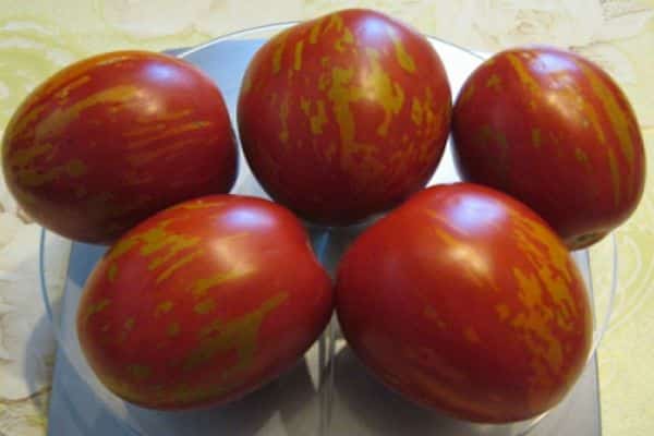 Tomaten auf der Waage