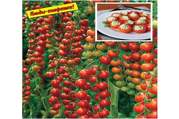 vyšniniai pomidorai