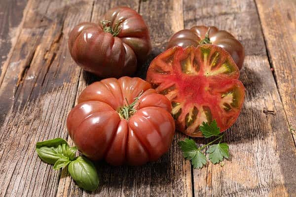 Tomaten weiblicher Anteil auf dem Tisch