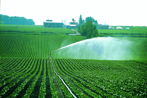 kunstmatige irrigatie