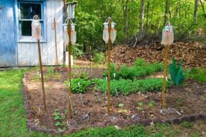 Come realizzare un sistema di irrigazione a goccia fai-da-te per cetrioli in serra e campo aperto