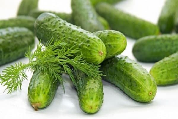 fatsoenlijke komkommers