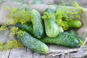 Kenmerken en beschrijving van de variëteit aan komkommers Moed, hun teelt en vorming