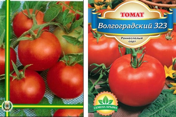 paradajkové semená Volgograd 323