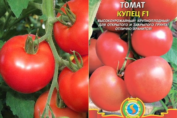 Tomatensamen Händler