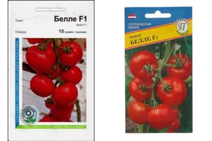 Beskrivning av tomatsorten Bella f1, dess egenskaper och odling