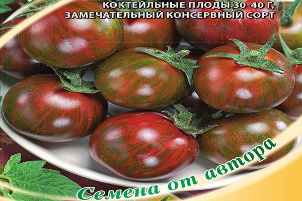 stādot tomātu