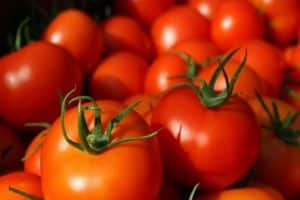 Las mejores variedades de tomates para campo abierto en Bashkiria.