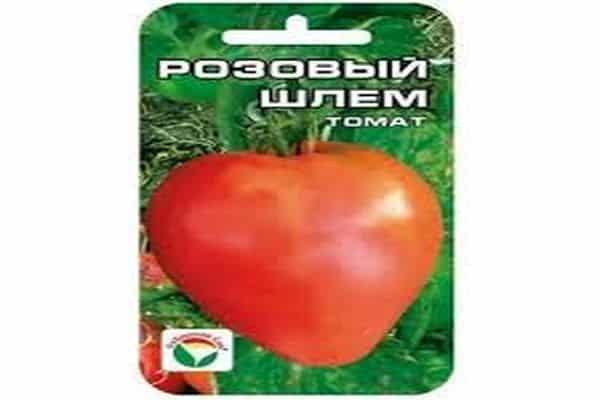 tomaat roze helm