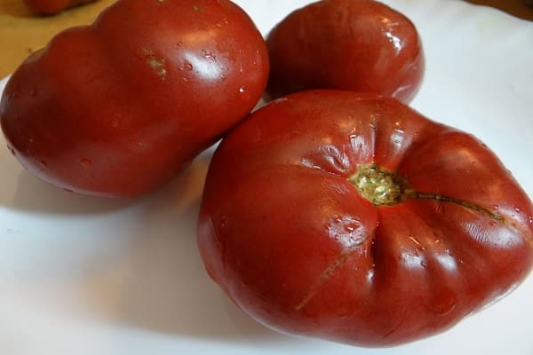 chutné paradajka